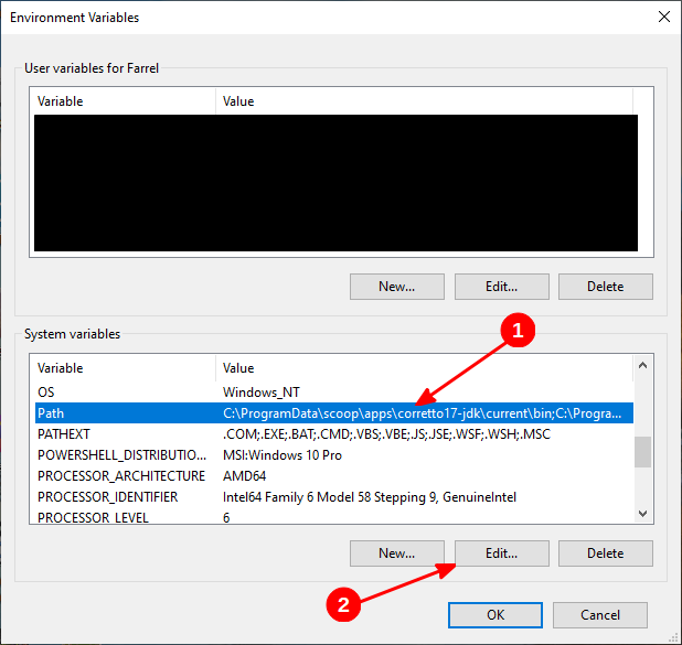 Environment Variables di Windows 10 (beberapa bagian sengaja saya hitamkan)