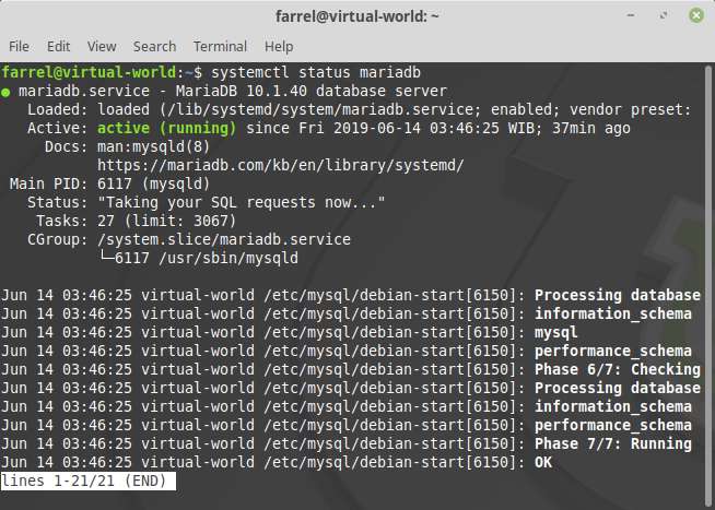 Status MariaDB di dalam Terminal